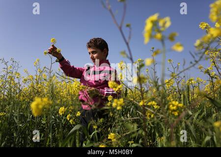 Gaza, Gazastreifen, palästinensischen Gebiet. 23 Feb, 2018. Ein palästinensisches Kind spielt zwischen Blumen, die in Feldern in Gaza Stadt wachsen am 23 Februar, 2018 Credit: Ashraf Amra/APA-Images/ZUMA Draht/Alamy leben Nachrichten Stockfoto