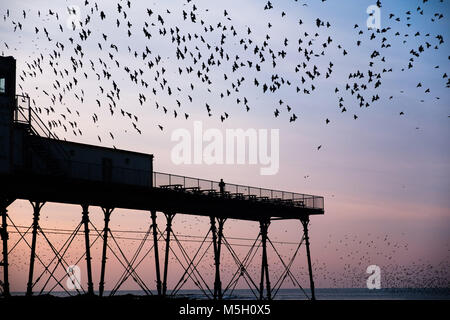 Aberystwyth Wales UK, Freitag, 23. Feb 2018 UK Wetter: Wie die Sonne über die Cardigan Bay setzt auf einem Bitterkalten Februar Abend in Aberystwyth, Zehntausenden winziger Stare den Himmel füllen, wie sie kommen im Sturzflug aus zur Nahrungsaufnahme in die Felder und Bauernhöfe für die Nacht Roost, zusammen für Wärme und Sicherheit gepresst, auf den Wald von Gusseisen Träger und Balken unterhalb der viktorianischen Ära seaside Attraktion Stockfoto