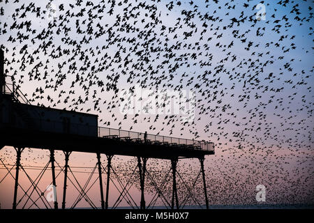 Aberystwyth Wales UK, Freitag, 23. Feb 2018 UK Wetter: Wie die Sonne über die Cardigan Bay setzt auf einem Bitterkalten Februar Abend in Aberystwyth, Zehntausenden winziger Stare den Himmel füllen, wie sie kommen im Sturzflug aus zur Nahrungsaufnahme in die Felder und Bauernhöfe für die Nacht Roost, zusammen für Wärme und Sicherheit gepresst, auf den Wald von Gusseisen Träger und Balken unterhalb der viktorianischen Ära seaside Attraktion Stockfoto