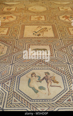 Dionysos Mosaik. Detail. 3. Jahrhundert. Roman. Ist der Boden der Festsaal eingerichtet, auf der Westseite des Peristyl eines großen Hauses. Die Bilder des Dionysos mit mänaden und Satyrn markieren Sie den festlichen Charakter der Halle. In Köln gefunden. Römisch-germanisches Museum. Köln. Deutschland. Stockfoto