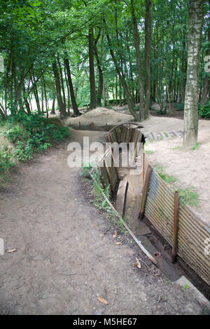 Schützengräben aus dem Ersten Weltkrieg bewahrt im Sanctuary Holz, Belgien Stockfoto