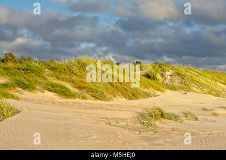 Sonnige Sanddünen mit langem Gras auf einen blauen Himmel mit dunklen Wolken in Liepaja, Lettland Stockfoto