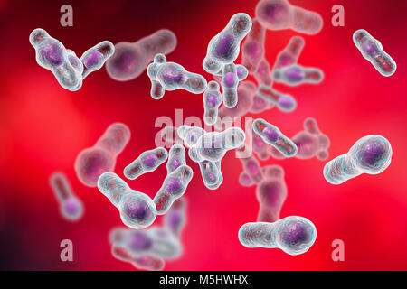 Clostridium Difficile Bakterien, Computer Bild. C. Difficile ist ein normaler Bewohner des menschlichen Darms, aber es kann ein Erreger geworden, wenn Antibiotika die normale Darmflora stören und C. Difficile im Dickdarm etablieren lassen. Eine Toxin produziert von den Bakterien verursachen Durchfall, Bauchschmerzen, Fieber, Entzündung des Dickdarms, Erbrechen und Austrocknung. Behandlung erfolgt mit Antibiotika, obwohl dieses Bakterium zunehmend Resistenzen gegen Antibiotika geworden ist. Stockfoto