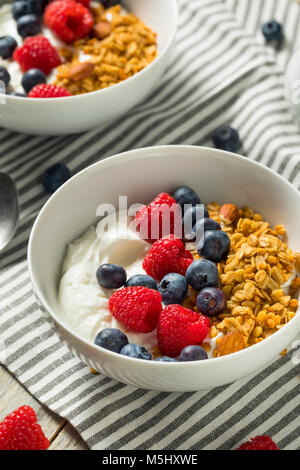 Gesunde Organische griechischer Joghurt mit Müsli und Beeren in eine Schüssel geben. Stockfoto