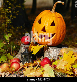 Halloween Kürbis auf Baumstumpf im Herbst Wald. Stockfoto