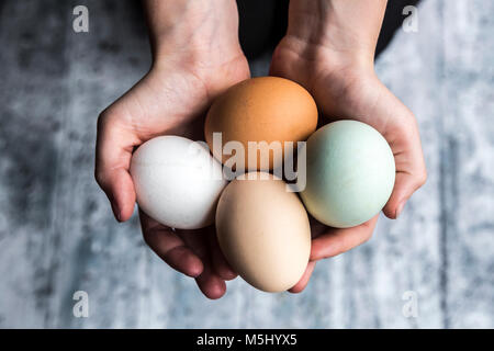 Verschiedene Eier, weiß, braun, hellbraun und grün Eier Stockfoto