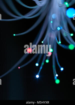 Bunte fiber optic Stockfoto