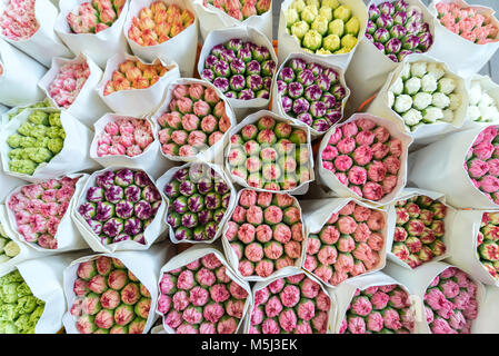 Bunte Foto von vielen frischen Nelke Blumensträuße in der Hong Kong Blumenmarkt. Stockfoto