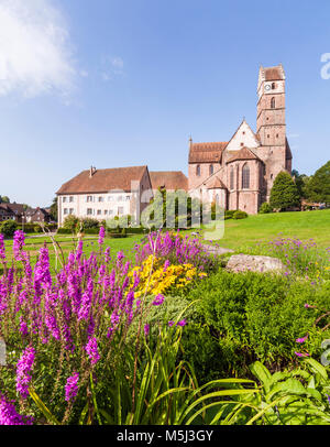 Deutschland, Baden-Württemberg, Schwarzwald, Nordschwarzwald, Alpirsbach, Kloster, Benediktinerkloster, Klosterkiche Stockfoto