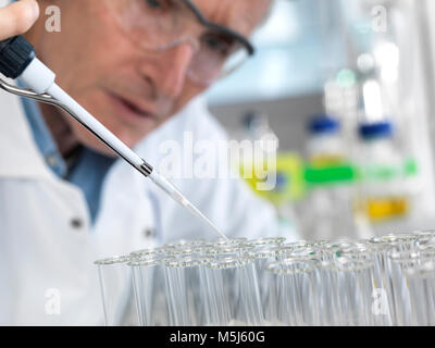 Wissenschaftler Pipettieren in Reagenzgläser bei einem Experiment im Labor Stockfoto