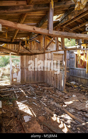 Alte Holzhütte Haus zerstört von Hurricane und verlassen Stockfoto