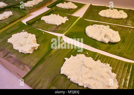 Tamale Vorbereitung mexikanische Rezept mit Bananenblättern und Maismehl Stockfoto