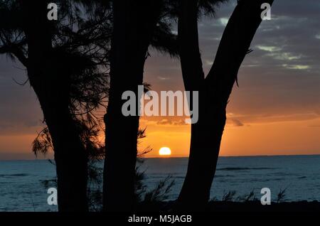 Einen tropischen hawaiischen Sunrise peeking zwischen zwei Silhouette Palmen mit Blick auf den Ozean mit der Sonne reflektiert der Wasser Stockfoto