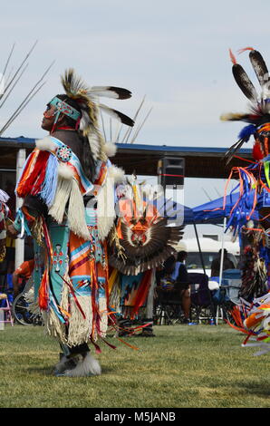 Männliche Aborigines Tänzer mit atemberaubenden farbenfrohen Kostüme und headpieces, Tanz bei einem Pow Wow Wettbewerb Stockfoto