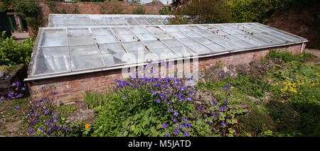 Spetchley Parks Gärten Worcester Worcestershire Midlands, England, Großbritannien Stockfoto