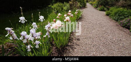 Spetchley Parks Gärten Worcester Worcestershire Midlands, England, Großbritannien Stockfoto