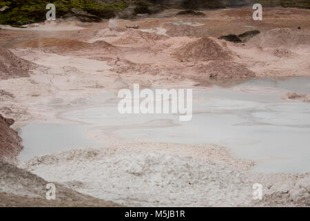 Landschaft der kochende Schlammtöpfe und dampfende Geysire Lüftungsschlitze am Fountain Paint Pots im Yellowstone Nationalpark, Wyoming im Winter. Stockfoto