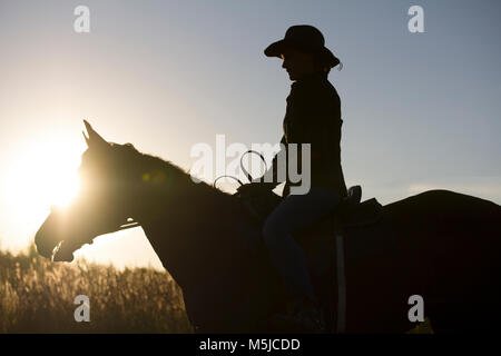 Silhouette einer Frau ein Pferd reiten - Sonnenuntergang oder Sunrise, horizontal Stockfoto