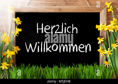 Tafel mit deutschem Text Herzlich Willkommen bedeutet Willkommen. Sonnige Frühling Blumen Nacissus oder Narzisse mit Gras. Rustikale Alter Holz- Hintergrund. Stockfoto