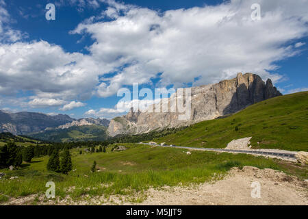 Die Sella Gruppe in der Nähe des Passo Sella in Gröden mit blühenden Wiesen und Wanderwege/Dolomiten/Italien/Berge/ Stockfoto