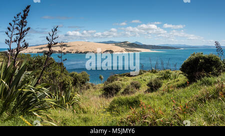 Arai-Te-Uru Halbinsel, in der Nähe von Openoni, North Island, Neuseeland Stockfoto