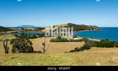 Whangarei malerische Aussicht, North Island, Neuseeland Stockfoto