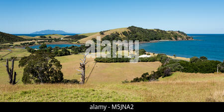 Whangarei malerische Aussicht, North Island, Neuseeland Stockfoto