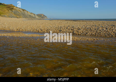 Charmouth Beach mit einem weit entfernten Gold Cap Klippen Stockfoto