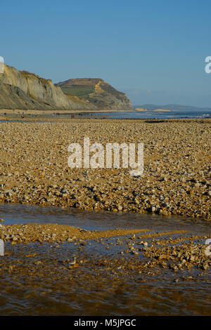 Charmouth Beach mit einem weit entfernten Gold Cap Klippen Stockfoto