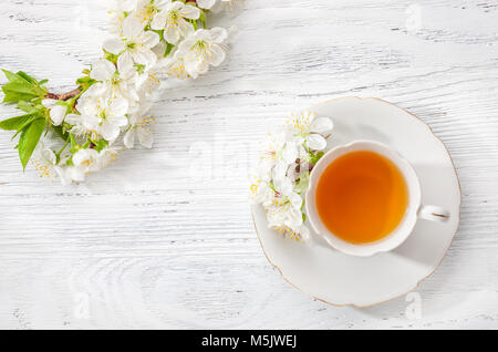 Tasse grünen Tee und Zweige der blühenden Kirschbaum auf alten Holz- Hintergrund. Stockfoto