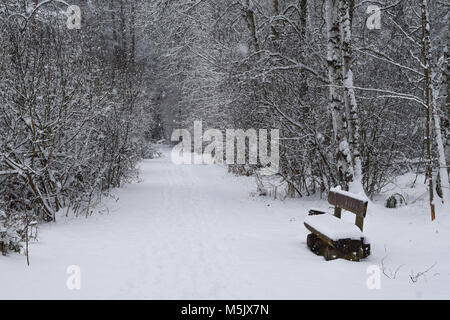 Winter im Schwenninger Moos, der Ursprung des Neckars, Bäume sind weiß, es schneit, den Weg und die Bank sind vollkommen weiß und voller Stockfoto