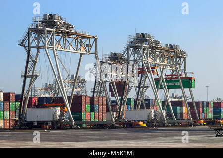 ROTTERDAM, Niederlande - Sep 8, 2012: Automated Guided Vehicles Verschieben von Containern in einem Container Terminal im Hafen von Rotterdam. Stockfoto