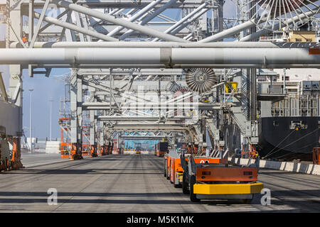 Automated Guided Vehicles Verschieben von Containern zu und von Containerbrücken in einem Hafen Container Terminal. Stockfoto