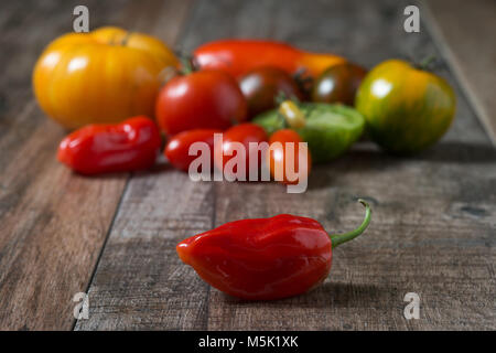 In der Nähe von red hot chili mit bunten Tomaten im Hintergrund. Flache Tiefenschärfe, rustikalen Holzmöbeln Hintergrund. Stockfoto