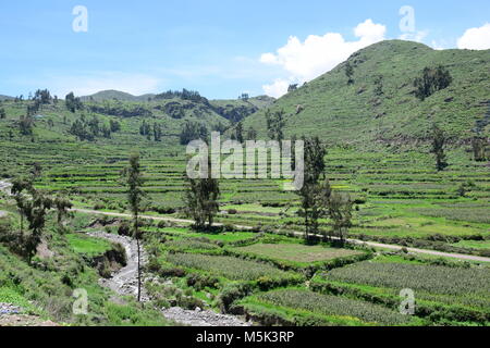 Landschaft ner, einem kleinen Dorf in den Colca Canyon abanaconde, Arequipa Region, Peru Stockfoto