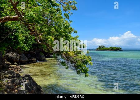 Blick über Pflanzen auf einer kleinen Insel vor der blauen Ozean Stockfoto