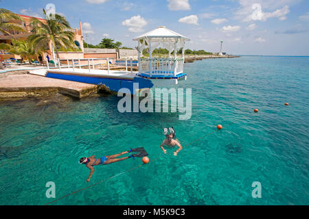 Schnorchler in kristallklarem Wasser im Hotel Cozumel, hinter der Flitterwochen Lodge am Jetty, Cozumel, Mexiko, der Karibik Stockfoto