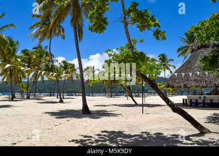 Weißen Strand mit Sonnenliegen, viele Palmen, blauer Himmel und eine Beach Bar in der Karibik, Dominikanische Republik Stockfoto