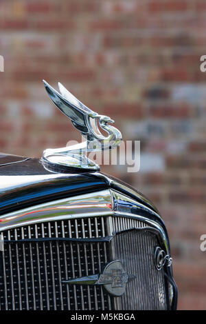 1934 Chevrolet fliegenden Adler Kühlerfigur. Classic vintage American Car Stockfoto