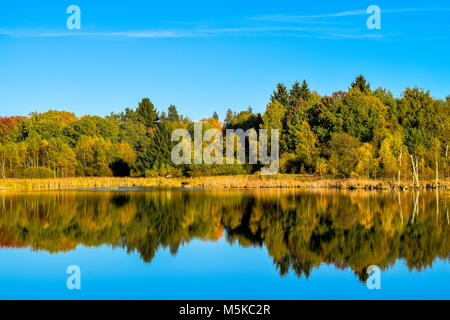 Blick auf einen See in einem Naturschutzgebiet, wolkenlosen blauen Himmel, Bäume Spiegelung im Wasser, Schwenninger Moos, Deutschland Stockfoto