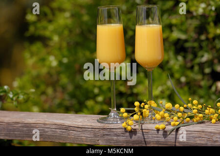 Zwei Gläser von Mimosa Cocktail im Freien gegen üppigem Laub Stockfoto