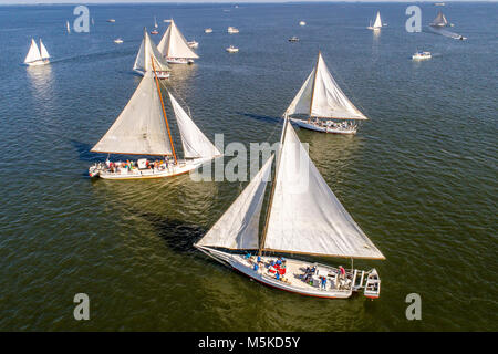 Luftaufnahme zeigt die mächtigen Segel für eine Gruppe von traditionellen Skipjack Boote fertig, an den jährlichen Angebot Insel Skipjack Rennen zu konkurrieren, D Stockfoto