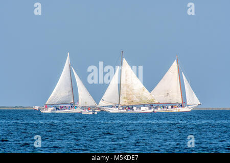 Seitliche Sicht auf eine Gruppe von traditionellen Skipjack Boote gegeneinander in Deal Island Skipjack Rennen, Insel, Maryland konkurrieren. Stockfoto