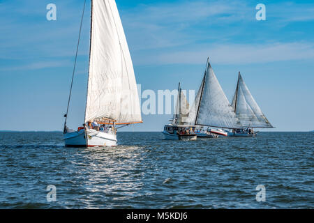 Traditionelle Skipjack Boot schneidet durch Chesapeake Bay Waters mit anderen skipjack Schiffe, die in die andere Richtung in den jährlichen Angebot Insel Skipjack Rasse, Stockfoto