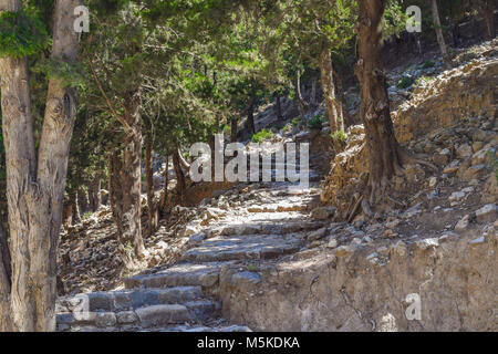 Schönen Weg durch den Wald, Treppen steigen die Berge Stockfoto