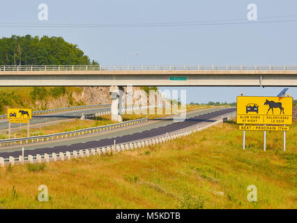 In englischer und französischer Sprache Warnen der Möglichkeit von Elch auf der Straße bei Nacht unterzeichnen, der Provinz Quebec, Kanada Stockfoto