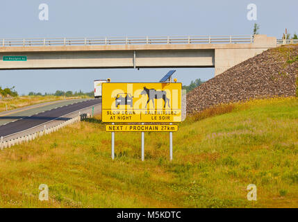 In englischer und französischer Sprache Warnen der Möglichkeit von Elch auf der Straße bei Nacht unterzeichnen, der Provinz Quebec, Kanada Stockfoto