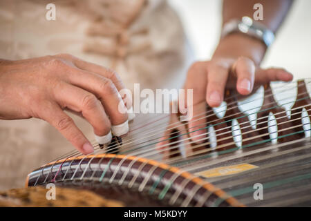 Detaillierte Blick der Frau Zupfen der Saiten der historisch reichen Instrument der Guzheng, Greensboro, North Carolina. Stockfoto