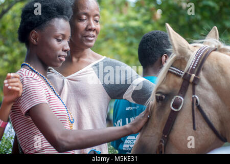 Zwei afrikanische amerikanische Frauen sanft pet Pferd im Park, Tifton, Georgia. Stockfoto