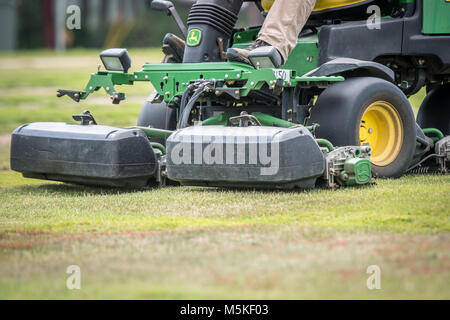 Mann mit Fahrt Rasenmäher Rasen Gras zu schneiden, Tifton, Georgia. Stockfoto